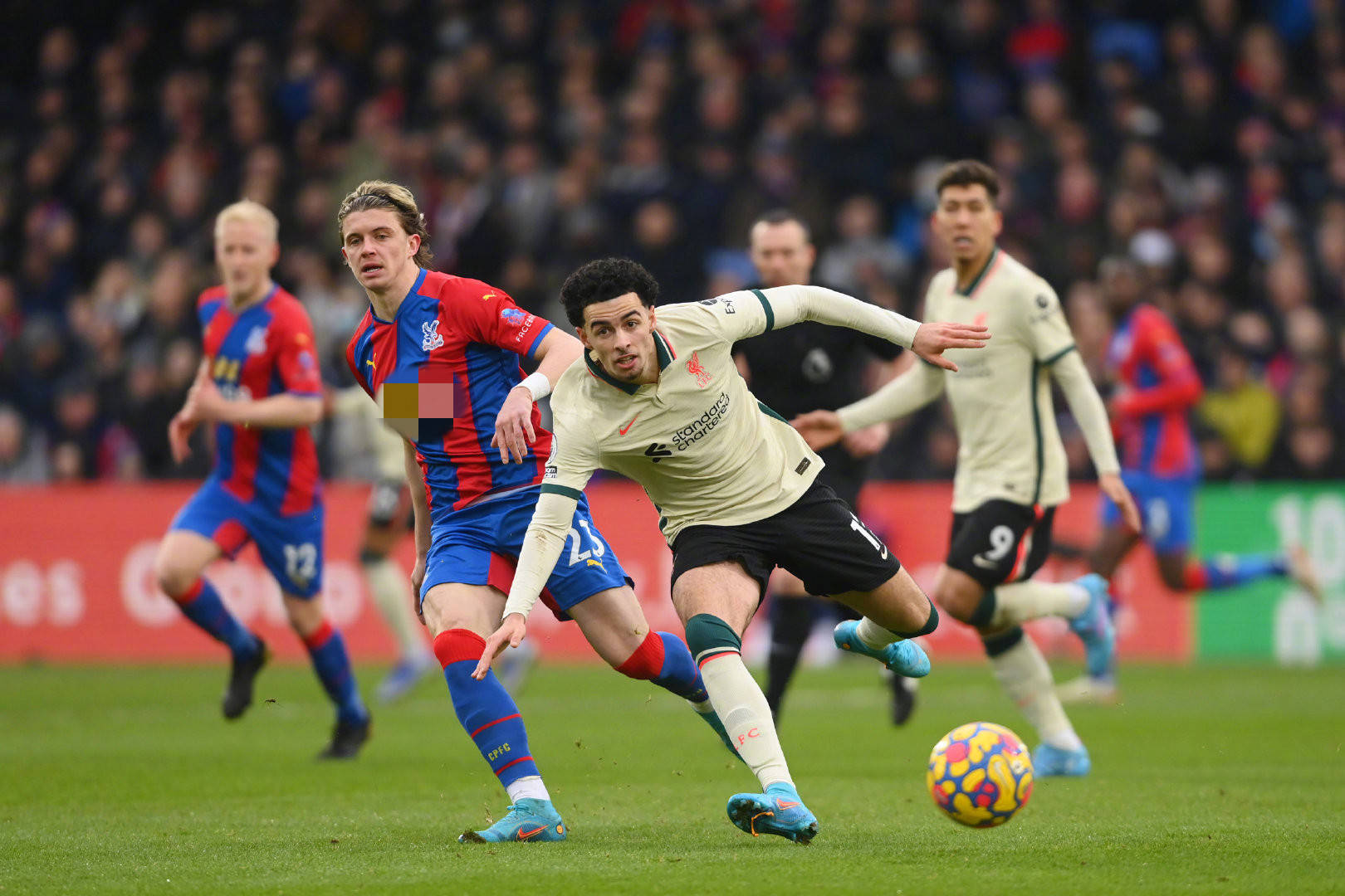 他很有可能 他很有可能